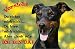 Produktbild Nanyuk +++ Deutscher Pinscher - Metall Warnschild Schild Hundeschild Sign - DPI 02 T2