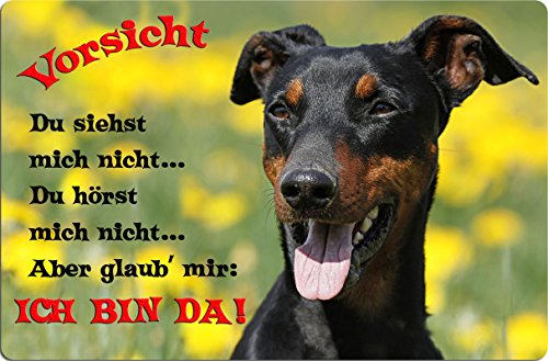 Preisvergleich Produktbild Nanyuk +++ Deutscher Pinscher - Metall Warnschild Schild Hundeschild Sign - DPI 02 T2