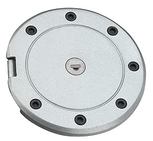 platina petrol tank cap