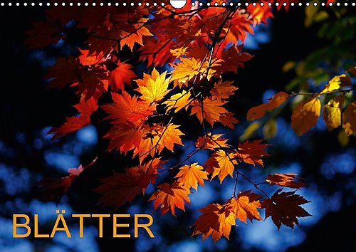 Blätter (Wandkalender 2017 DIN A3 quer): Farbige Fotografien von Blättern in verschiedenen Jahreszeiten (Monatskalender, 14 Seiten ) (CALVENDO Natur)