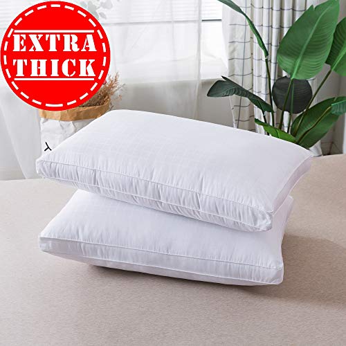 HOMEFOUCS Standard Size Bed Pillows 2 Pack Down Alternative Pillows for Sleeping, 100% Cotton Cover with Gusset Ultra Soft, Just Like Down and Mulberry silk Filling (48x 74cm)