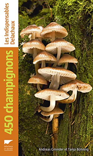 Ebooks gratuits en ligne télécharger E-book 450 champignons E-book DJVU FB2 by author