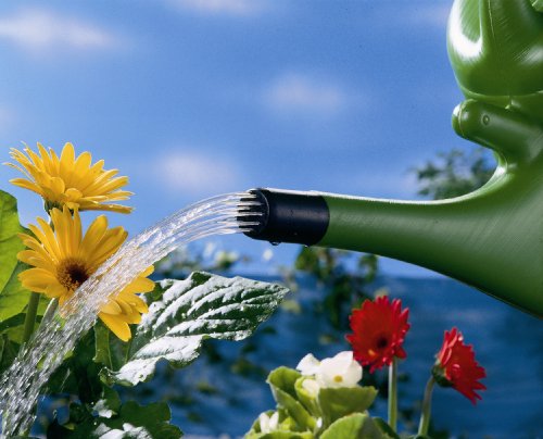 Ruco v620 Spargießer, 6-er-Set - 2