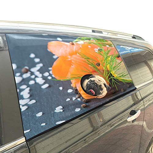 Preisvergleich Produktbild Rtosd Frisch Und Saftig Lachs Faltbarer Hund Sicherheit Auto Gedruckt Fenster Zaun Vorhang Barrieren Protector Für Baby Kind Einstellbar Flexible Sonnenschutzabdeckung Universal Fit Für SUV