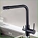 Produktbild LHbox Tap Feldspritze Auswurfkrümmer Küchenarmatur Kupfer Schwarz Hahn Sprühfarbe Zwei Reiner Wasseraufbereiter ist Ein Dual Head Küchenarmatur spüle Spüle heiß und kalt - Wasseranschluß