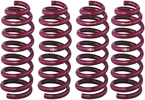 Vogtland 951018 Suspension Springs Lowering Springs