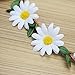 Homgaty Elegant Women Headband Bohemian Floral White Daisy Flower Headband