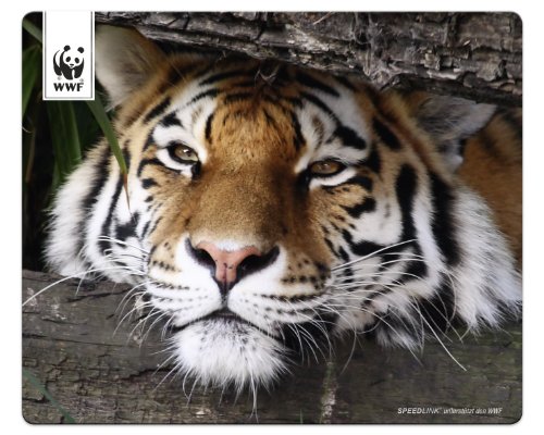 Speedlink Terra WWF Mauspad Tiger (Sie unterstützen WWF Deutschland mit 50Cent pro gekauftem Exemplar, verschiedene Motive)