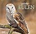 ... geliebte Eulen Kalender 2015 by 