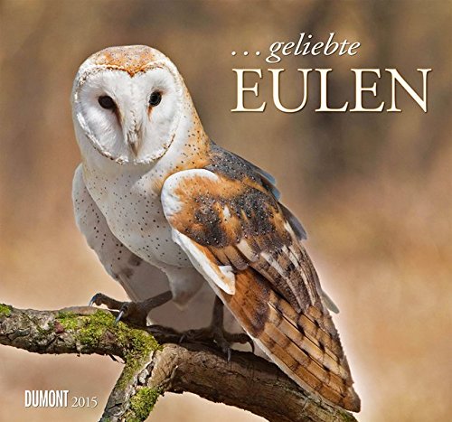 ... geliebte Eulen Kalender 2015