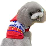 mantener a su mascota hermoso y lindo