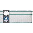 Zinus Single Mattress in memory foam and Springs 90x190 cm - Hybrid Mattress - Mattress Height 20 cm - Green tea mattress