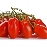 20 Patio San Marzano Tomato Seeds