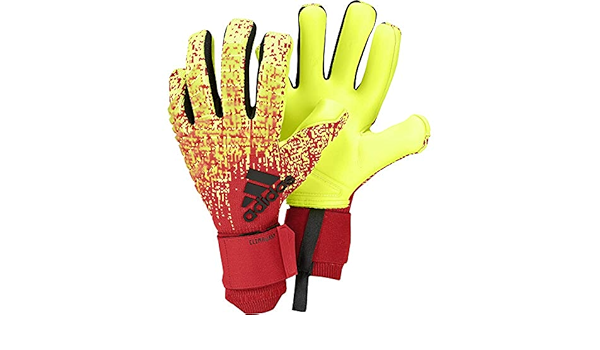 adidas PREDATOR PRO CLIMAWARM Goalkeeper Gloves warm hands on cold days  Goalkeeping Gloves for football : Amazon.co.uk: Sports \u0026 Outdoors