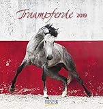 Traumpferde (PK) 233819 2019: aufstellbarer Postkartenkalender by 