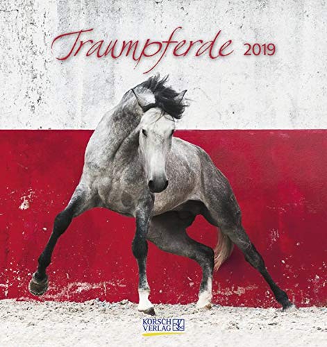 Traumpferde (PK) 233819 2019: aufstellbarer Postkartenkalender
