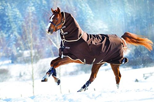 « Click to Enlarge and to go to Amazon »