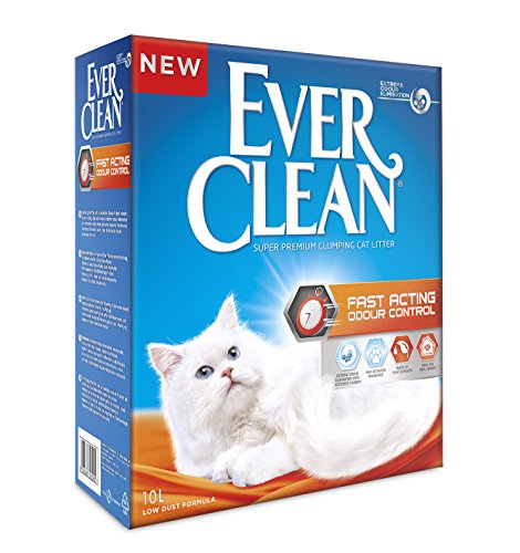 EVERCLEAN ACCION RAPIDA 6L