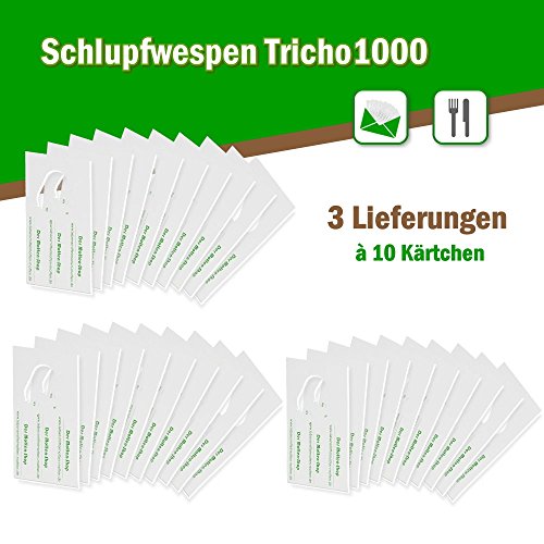 Schlupfwespen gegen Lebensmittelmotten 10 Stück 1000-er Kärtchen 3 Lieferungen