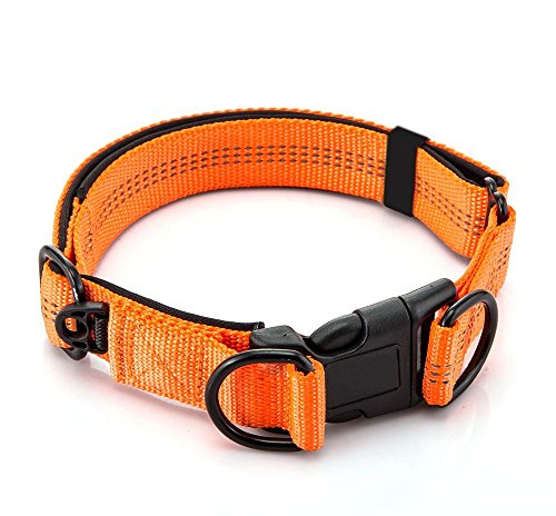 Preisvergleich Produktbild ALAMP Soft Hunde Halsband 3M Nacht Reflektierende Streifen Sicherheit Verstellbare Hundehalsband mit 2 D-Ring für mittlere / große Hunde