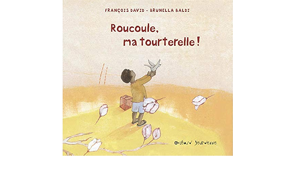 Roucoule Ma Tourterelle Amazon Co Uk David Baldi Books