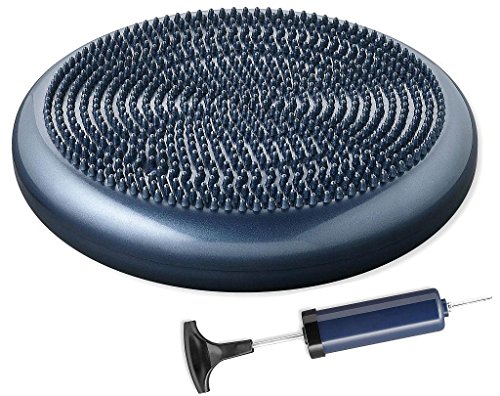 Preisvergleich Produktbild TCM Tchibo Balance Sitzkissen