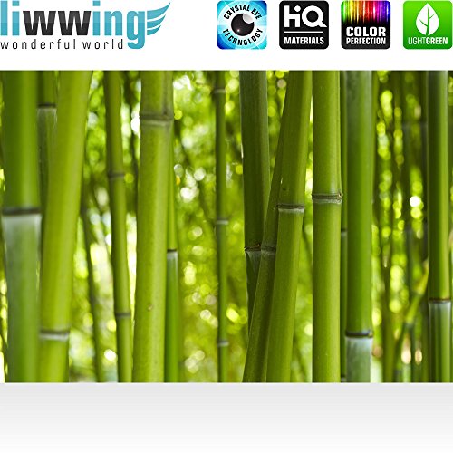Vlies Fototapete 400×280 cm PREMIUM PLUS Wand Foto Tapete Wand Bild Vliestapete – DREAM OF BAMBOO – Bambuswald Bambus Wald Asien Asia Baum Bamboo Way Bambusweg Grün – no. 071 - 2