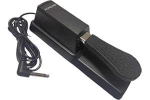 AOMOMO Sustain Pedal Univerdal for Keyboard with Polarity Switch for All Digital Pianos, Electronic Keyboards Midi Electronic keyboards Style Piano Foot Pedal (Black+Silver)