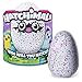 Produktbild Spin Master 6034333 - Hatchimals - Pengualas Version 2 (grün-pinke Sortierung), Farblich sortiert