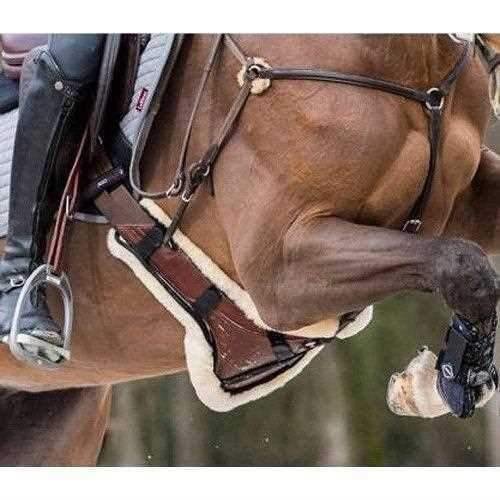 Preisvergleich Produktbild LeMieux Lammfell-Ohrstecker Guard Cover