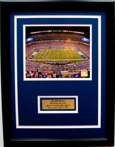 NFL New York Giants MetLife Stadium Framed Portrait Photo with Nameplate