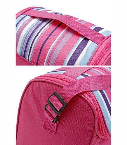 Yvonnelee 6L Kühltasche Thermotasche Isoliertasche Mittagessen Tasche für Arbeit Schule Picknick Radfahren Einkaufen Unterwegs Lebensmitteltransport für Damen Herren und Kinder Isoliert Klein – Pink - 3