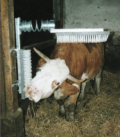 Bürste für Pferde oder Rinder – EIDER eSchrubb – Ihr Tier wird es ihnen danken ! - 2