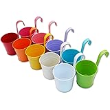 Metal Flower Pot Vase Bucket Hanging Garden Planter without Drainage Hole, Balcony Home Decor, Detachable Hook (10 Pcs with A
