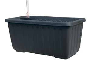 PLASTIA S.R.O. Plastia jardinière à réserve d’Eau Siesta LUX 60x20x19 Anthracite