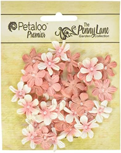 Petaloo Paper Penny Lane Mini Pearl Daisies 0.75-Inch, Antique Peach