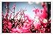 Produktbild Metall Poster Blechschilderplatte Blechschild Plakat Flower Tin Sign #18830 Pink Blossoms Retro Weinlese Kunstdrucke by hamgaacaan (20x30cm)