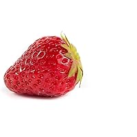 20 Ostara Erdbeerpflanzen - Frigo Pflanzen - Immertragend - Pflanzzeit: März/April - Ernte: Juli bis Oktober…