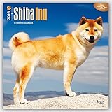 Shiba Inu 2016 - 18-Monatskalender mit freier DogDays-App: Original BrownTrout-Kalender [Mehrsprachig] [Kalender] (Wall-Kalender) by 