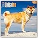 Shiba Inu 2016 - 18-Monatskalender mit freier DogDays-App: Original BrownTrout-Kalender [Mehrsprachig] [Kalender] (Wall-Kalender) by 