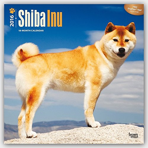 Shiba Inu 2016 - 18-Monatskalender mit freier DogDays-App: Original BrownTrout-Kalender [Mehrsprachig] [Kalender] (Wall-Kalender)
