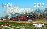 Molli 2017 by 