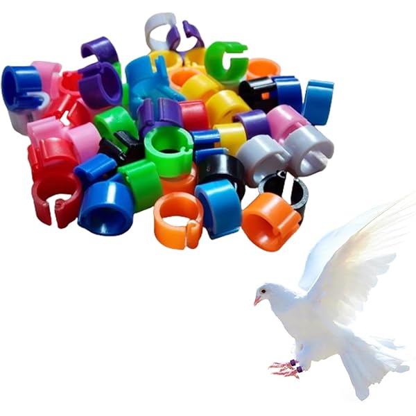 50 Anelli Per Zampe Di Pollame - 16mm Colorati Per Galline, Anatre E Piccioni (5 ColorI) - Foto 4
