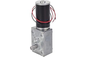 ODIPPO DC Permanent Magnet Gear Motor, 5840 GW 31 mm Worm Gear Speed Reducer Brush DC Motors, Gear Motor (DC12V 6RPM)