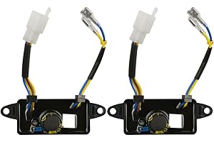 FLYLIN Confezione da 2 generatori regolatori di tensione, generatore AVR da 2 a 3 KW, condensatori grandi, alta stabilità, regolabile, raddrizzatore automatico monofase da 250 V e 220 UF