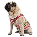 Produktbild YiJee Hund Haustier Kleidung Hund Weste Atmungsaktiv Hündchen T-shirts Pink L