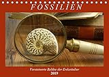 Fotografie - Allgemeines Fossilien - Versteinerte Relikte der Erdzeitalter (Tischkalender 2019 DIN A5 quer): Einen Querschnitt durch die Vielfalt der Fossilien (Geburtstagskalender, 14 Seiten ) (CALVENDO Wissenschaft)