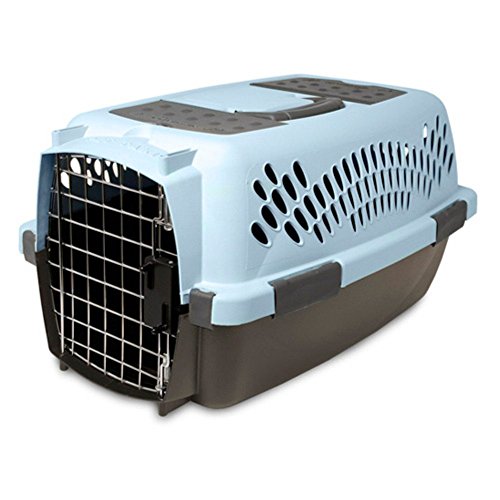 Aspen-Pet-Pet-Porter-Plastic-Kennel
