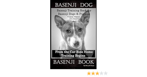 Basenji Dog Basenji Training Book For Basenji Dogs Puppies By D G This Dog Training From The Car Ride Home Training Begins Basenji Book Amazon De Naiyn Doug K Fremdsprachige Bucher