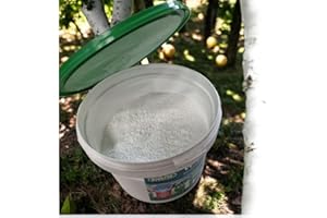 BIOVITA DECORATIVE STONES & GARDEN MINERALS Vernice bianca per alberi da frutto: 1 kg di calce da giardino in pratico secchio, per la protezione dal gelo e la cura